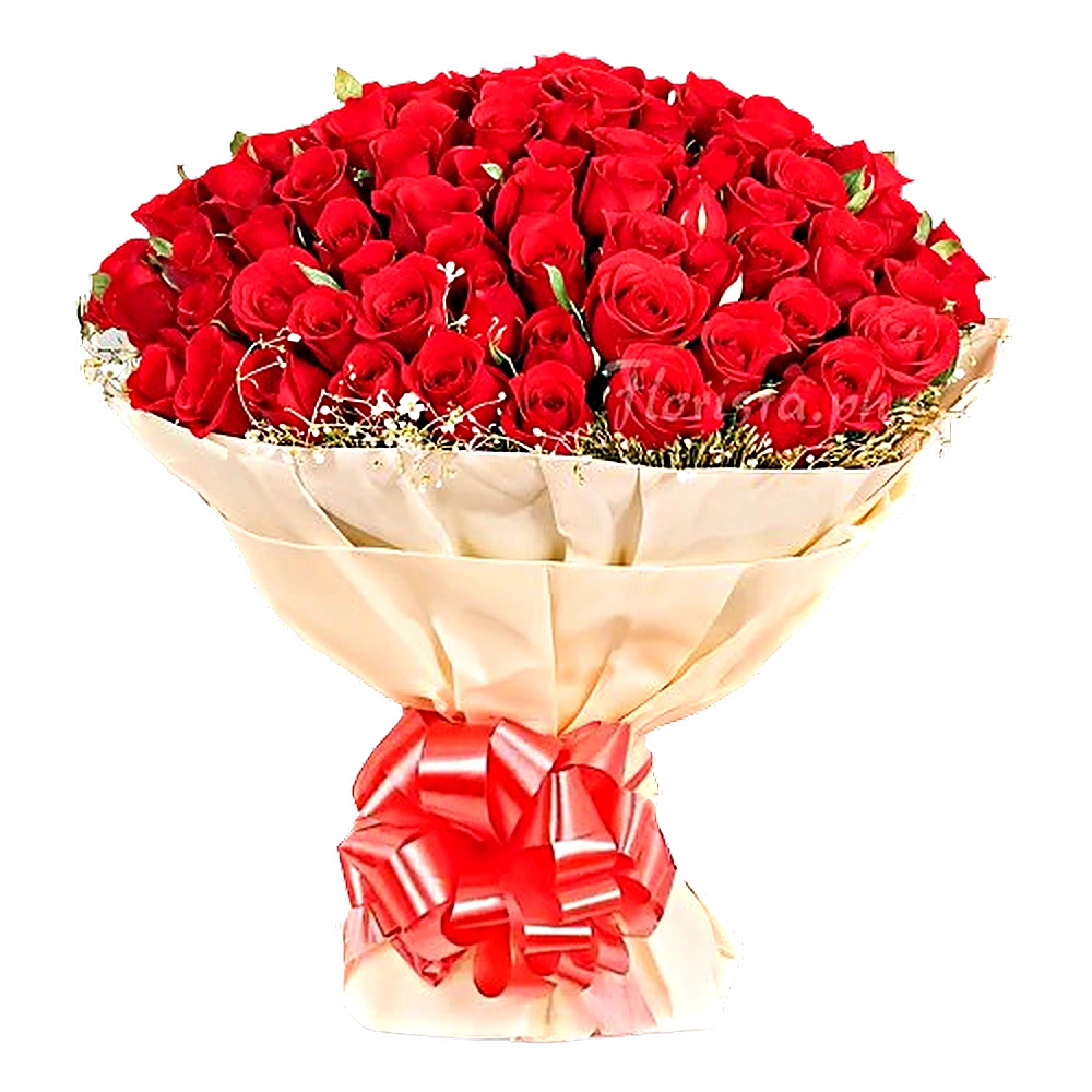 A bouquet of fifty red roses wrapped in cream paper with a red ribbon